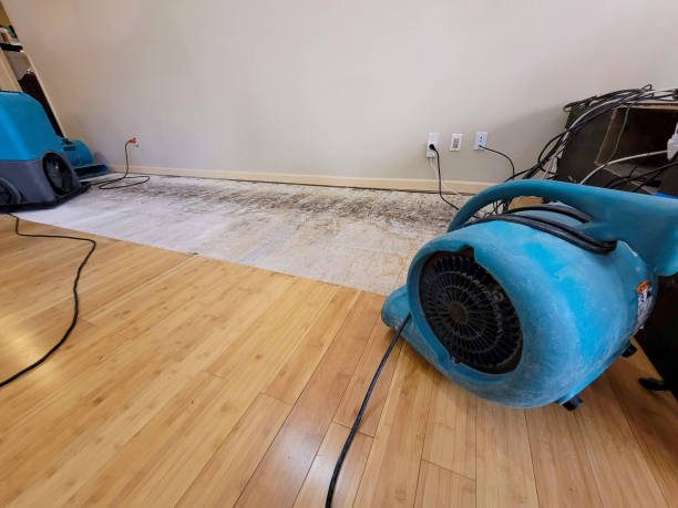 Professional Ceiling Water Damage Repair technician working in Lake City, MN